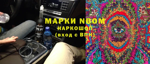 шишки Аша