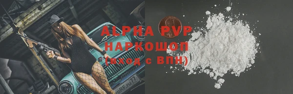 индика Белокуриха