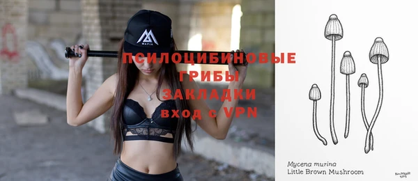 бошки Бронницы