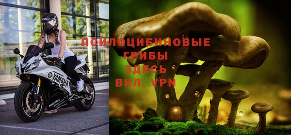 бошки Бронницы