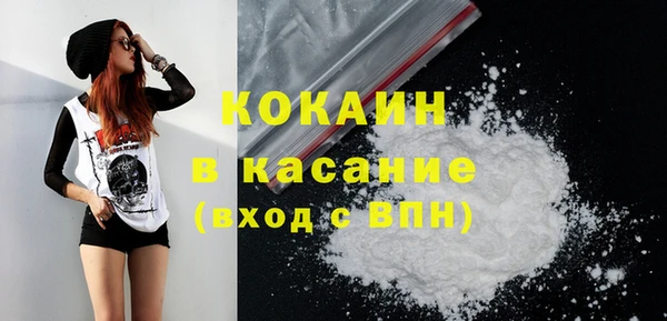 бошки Бронницы