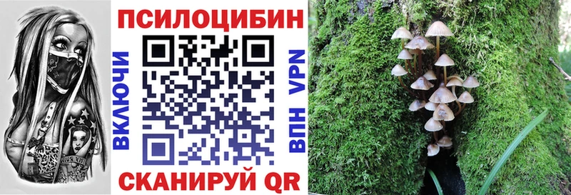 Галлюциногенные грибы Psilocybine cubensis  Гулькевичи 